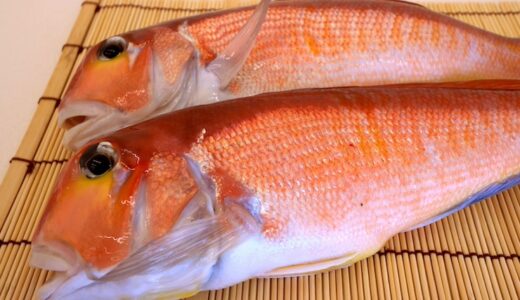 福井で食べる旬の魚介と穫れる時期